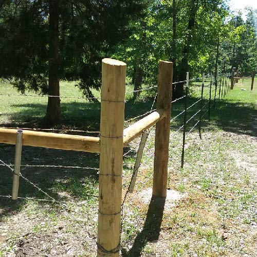 Ranch Fence