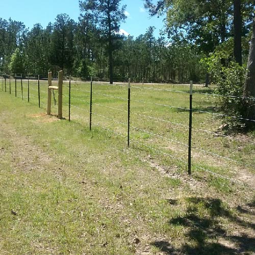 Ranch Fence