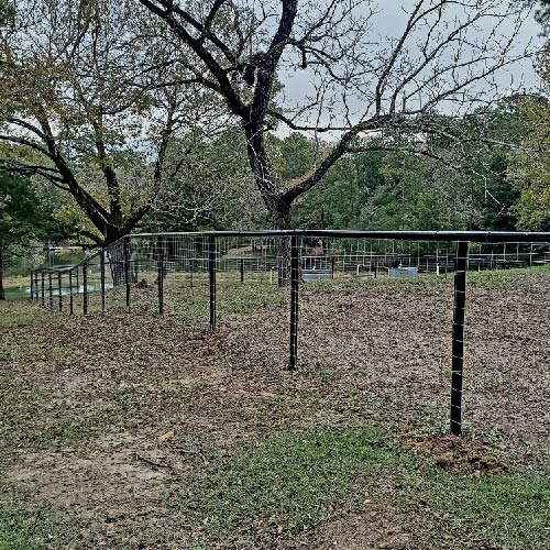 Corral Fencing