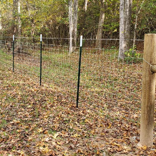 Corral Fencing